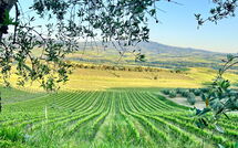 Foto eingereicht von Gästen Villa Chiugi