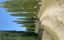 Foto eingereicht von Gästen Villa Gualchiere