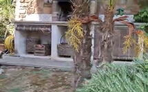 Foto eingereicht von Gästen Casale di Cozzile