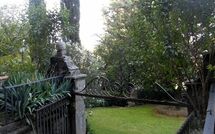 Foto eingereicht von Gästen Montegufoni