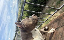 Foto eingereicht von Gästen Villa Roberto