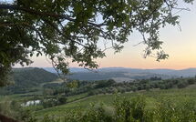 Foto eingereicht von Gästen San Guido