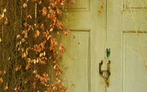 Foto eingereicht von Gästen Villa Elisa