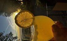 Foto eingereicht von Gästen San Carlo