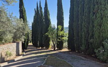 Foto eingereicht von Gästen Villa Uccellaia