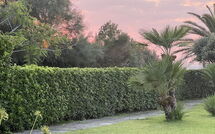 Foto eingereicht von Gästen Cala Marina