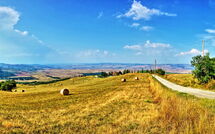 Foto eingereicht von Gästen Casale Santa Francesca