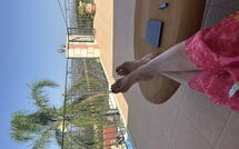 Foto eingereicht von Gästen Villa Kois