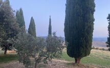 Foto eingereicht von Gästen Casale Santa Francesca