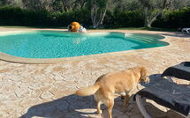 Foto eingereicht von Gästen Lamia Santo Arcangelo