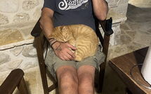 Foto eingereicht von Gästen Villa Armonia