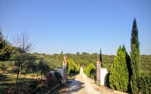 Foto eingereicht von Gästen Podere Romina