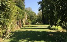 Foto eingereicht von Gästen Montegufoni