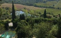 Foto eingereicht von Gästen Montegufoni