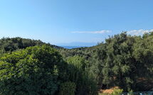 Foto eingereicht von Gästen Villa di Giovanni
