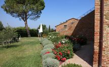 Foto eingereicht von Gästen Podere Romina