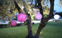 Foto eingereicht von Gästen Podere Romina