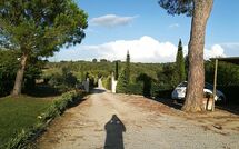 Foto eingereicht von Gästen Podere Romina