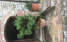 Foto eingereicht von Gästen La Ruota