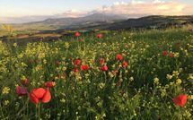 Foto eingereicht von Gästen Montegufoni