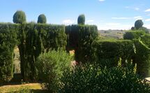 Foto eingereicht von Gästen Montegufoni