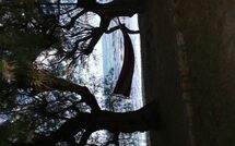 Foto eingereicht von Gästen Villa Romantic Sevi