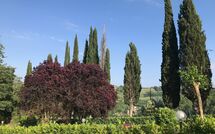 Foto eingereicht von Gästen Villa Sabrina