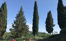 Foto eingereicht von Gästen Villa Sabrina