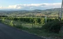 Foto eingereicht von Gästen San Carlo