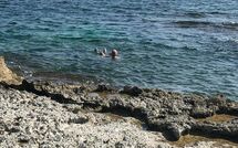 Foto eingereicht von Gästen Marisol