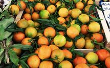 Foto eingereicht von Gästen San Carlo