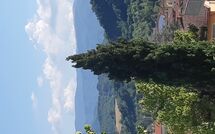 Foto eingereicht von Gästen Villa Pratovecchio