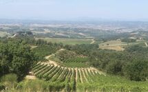 Foto eingereicht von Gästen Villa Il Caggio