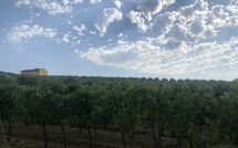 Foto eingereicht von Gästen Villa Il Caggio