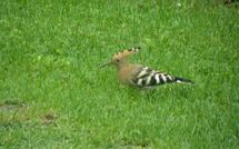Foto eingereicht von Gästen Casa Lucia