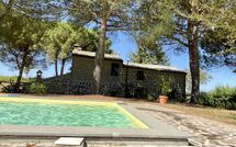 Foto eingereicht von Gästen Ginestrella