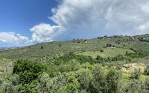 Foto eingereicht von Gästen Villa Nora