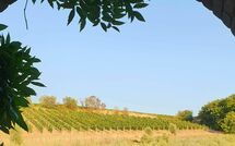 Foto eingereicht von Gästen Casa Maria Luisa