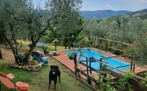 Foto eingereicht von Gästen La Ruota