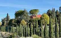 Foto eingereicht von Gästen Tenuta Cambiano