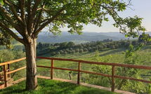 Foto eingereicht von Gästen San Guido