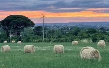 Foto eingereicht von Gästen Casale San Martino
