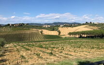 Foto eingereicht von Gästen Nicola