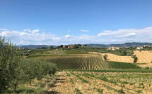 Foto eingereicht von Gästen Nicola