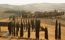 Foto eingereicht von Gästen Villa Lauretana