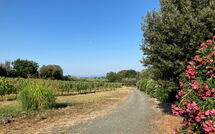 Foto eingereicht von Gästen Poderino