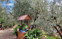 Foto eingereicht von Gästen La Ruota