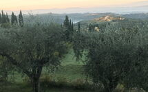 Foto eingereicht von Gästen Casa Lucia