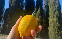 Foto eingereicht von Gästen Montegufoni