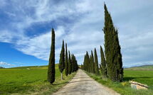 Foto eingereicht von Gästen Villa Cassia